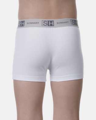 Cueca boxer