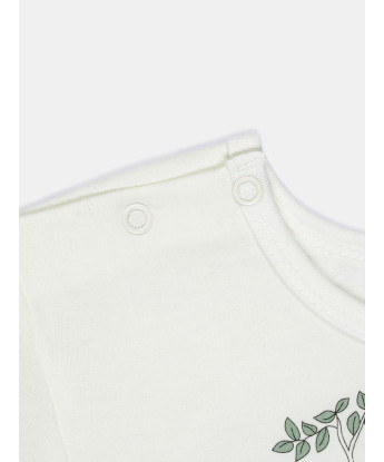 Pijama Masculino Baby Manga Longa e Calça Moletinho