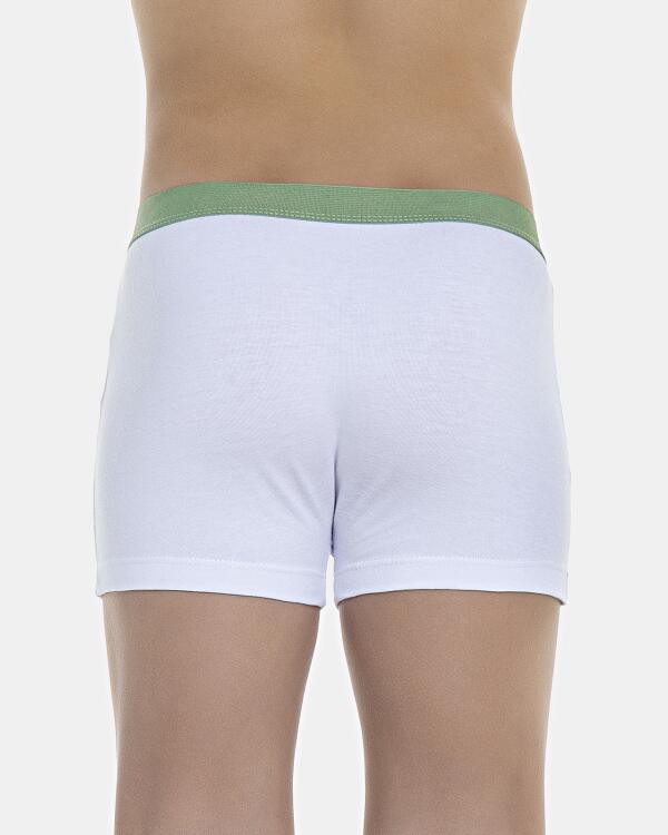Cueca Boxer Kids