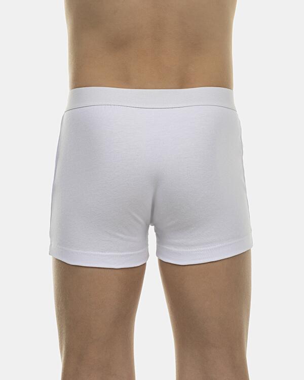 Cueca Boxer Kids