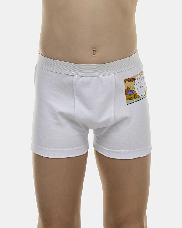 Cueca Boxer Kids