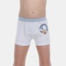 Cueca Boxer Infantil Cós Largo Bill e Ted