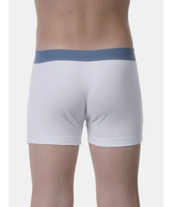 Cueca boxer                