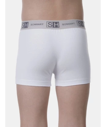Cueca boxer