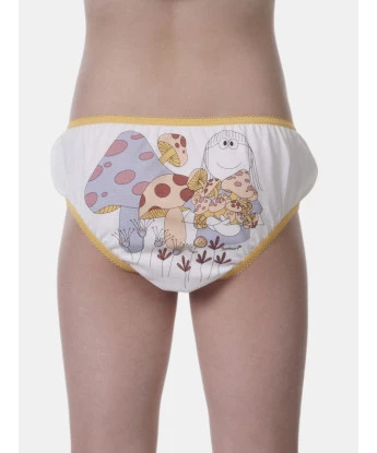 Kit calcinha 