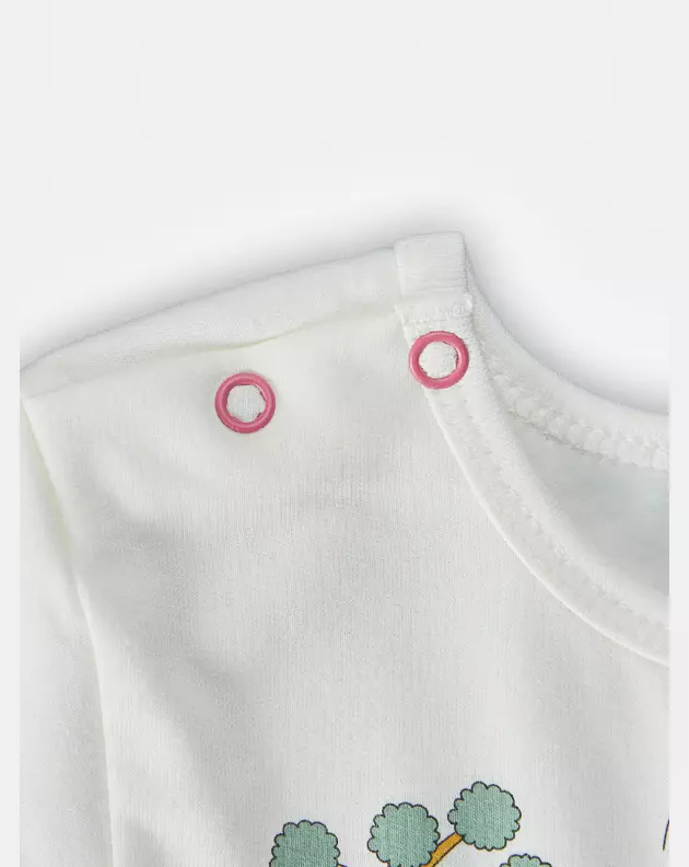 Pijama Feminino Baby Manga Longa e Calça Moletinho