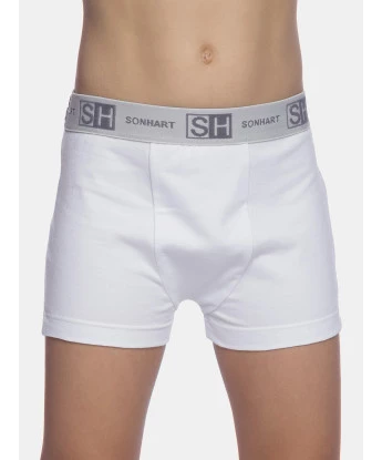 Cueca boxer         
