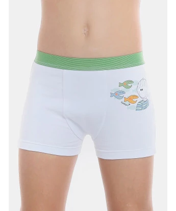 Cueca boxer         