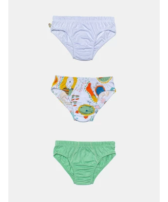 Kit cueca Algodão 3 Peças