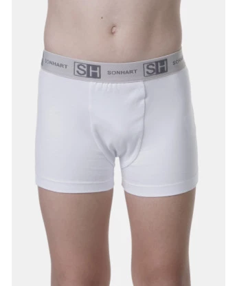 Cueca boxer