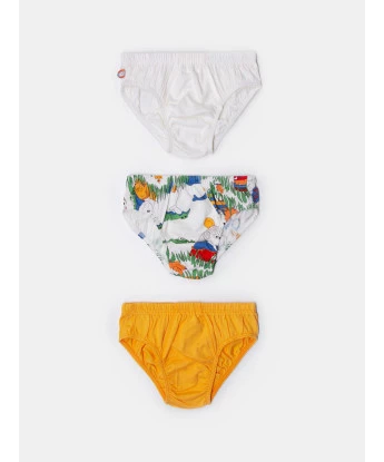 Kit cueca