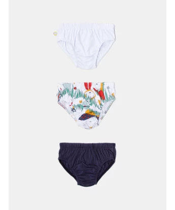 Kit cueca