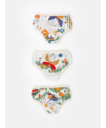 Kit calcinha