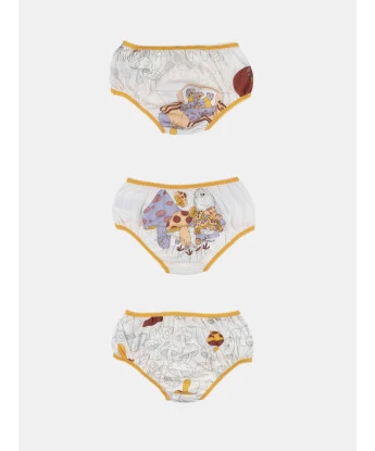 Kit calcinha