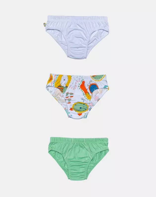 Kit cueca Algodão 3 Peças