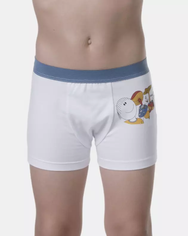 Cueca boxer                
