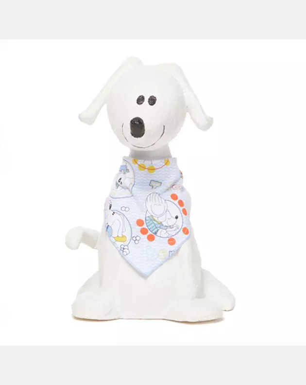 Bandana para Cachorro